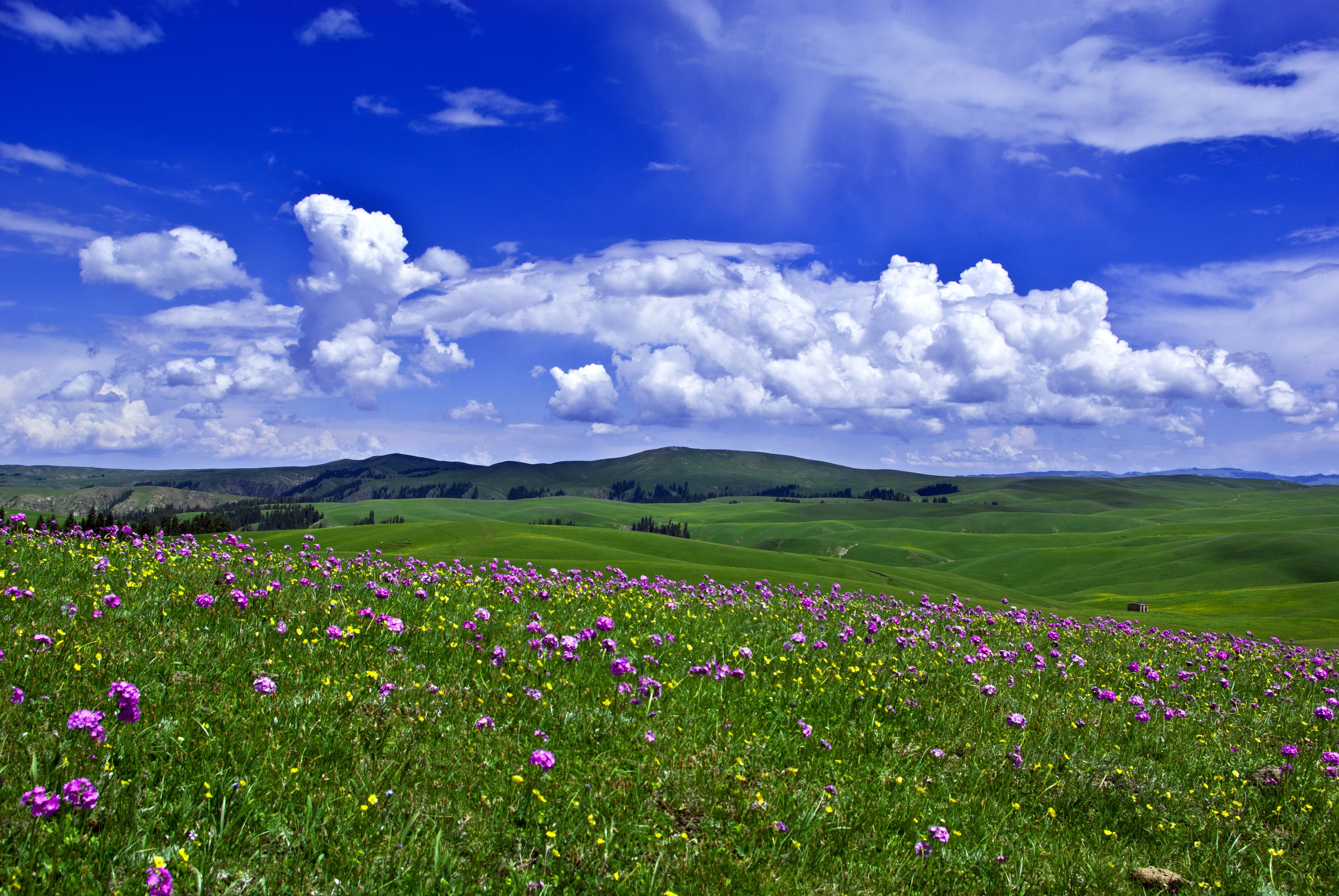 巴音布鲁克草原有雪山环抱下的世外桃源,更有优雅迷人的天鹅湖!
