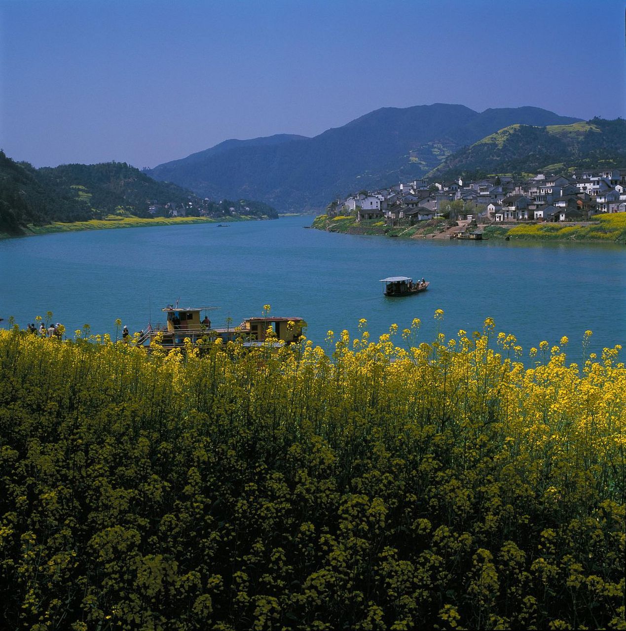 镜头里的春天#安徽桐城的嬉子湖镇,被称为春色如画的宝地,风景宜人.