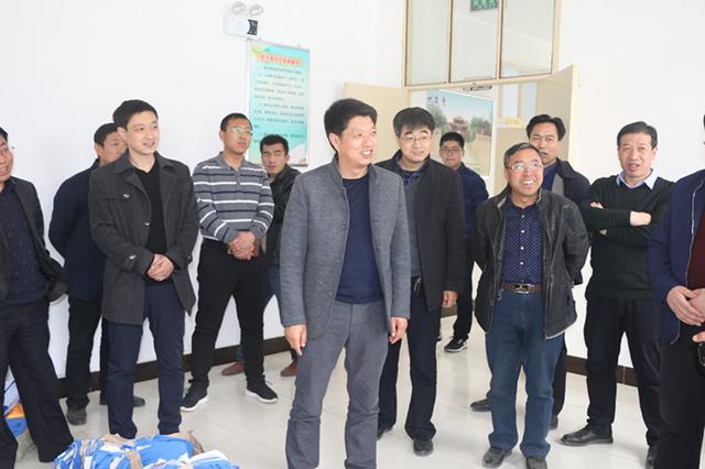 李彦荣带队督查曹务镇春季农村工作开展情况
