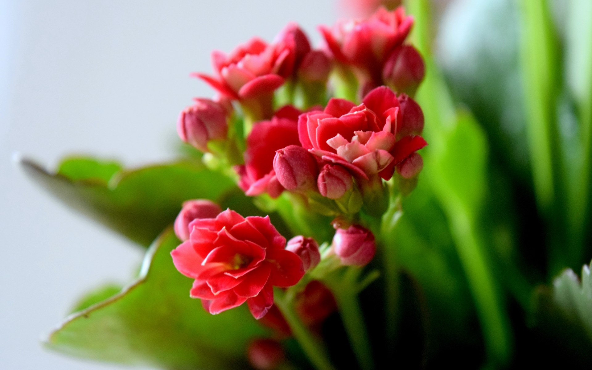 深夜睡不着的经典句子,句句经典入心坎!