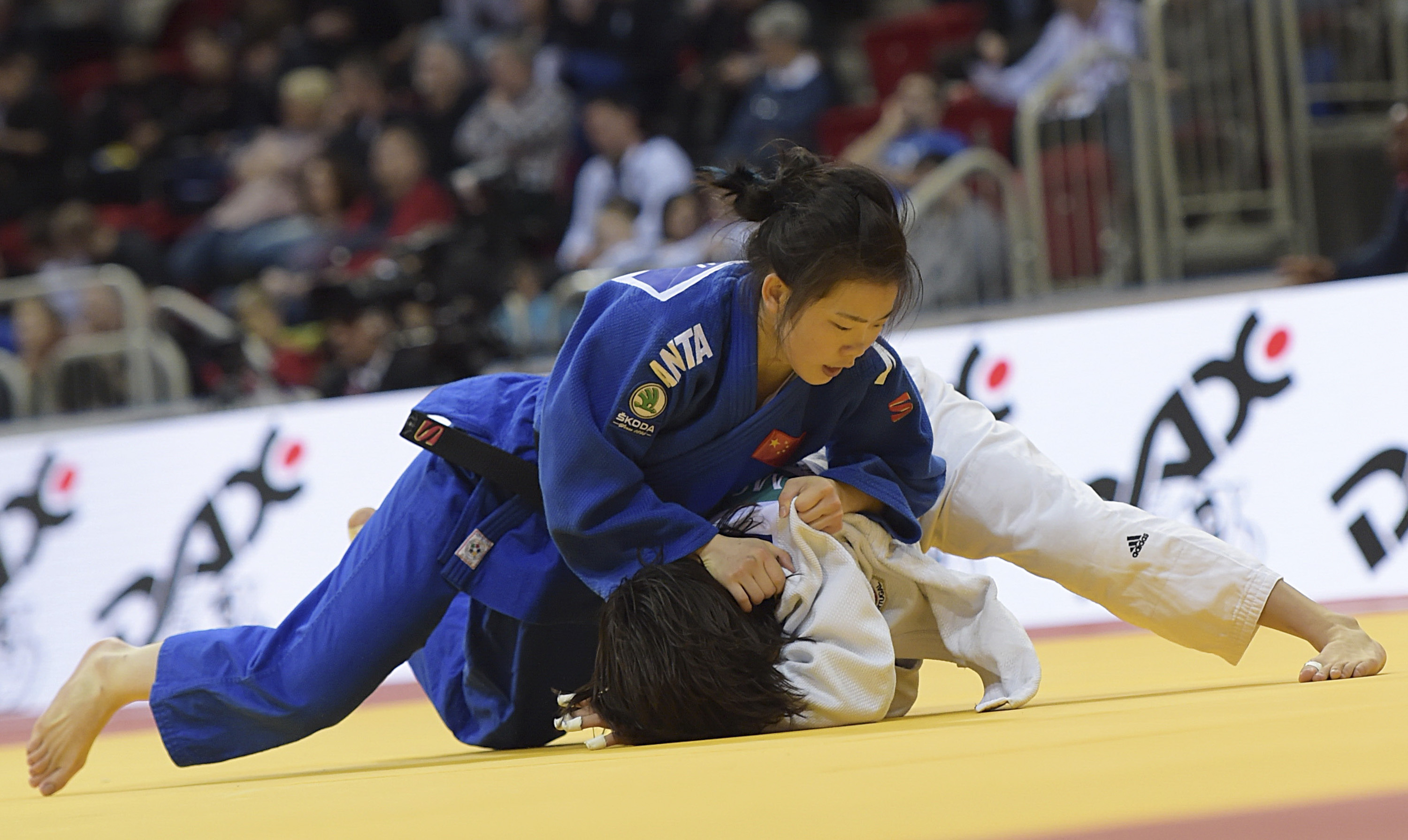 柔道——杜塞尔多夫大满贯赛赛况