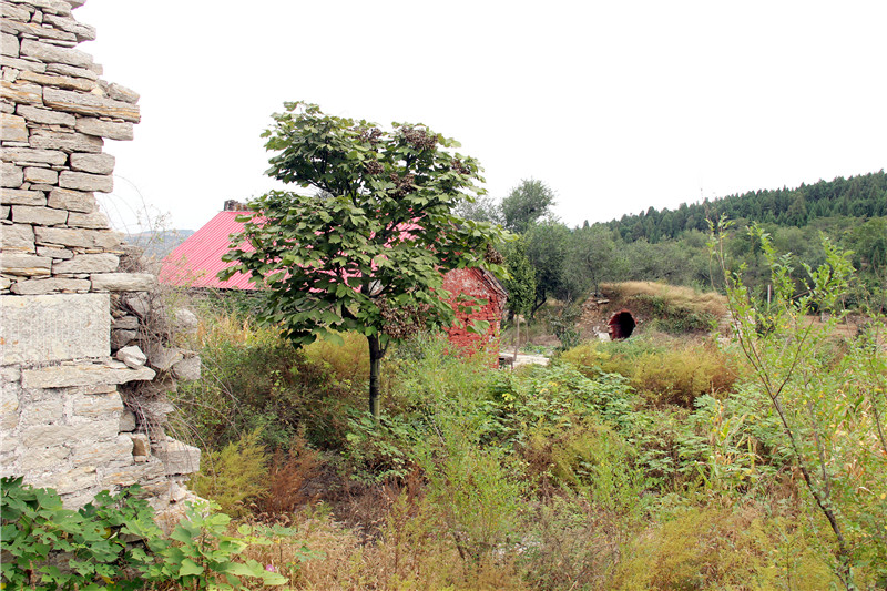 平阴县玫瑰镇:有一座建于明代的泰山行宫,香火已沿袭