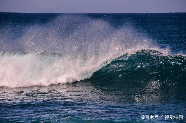 科学:不断增加的海洋风暴可能会改变海藻森林生态系统