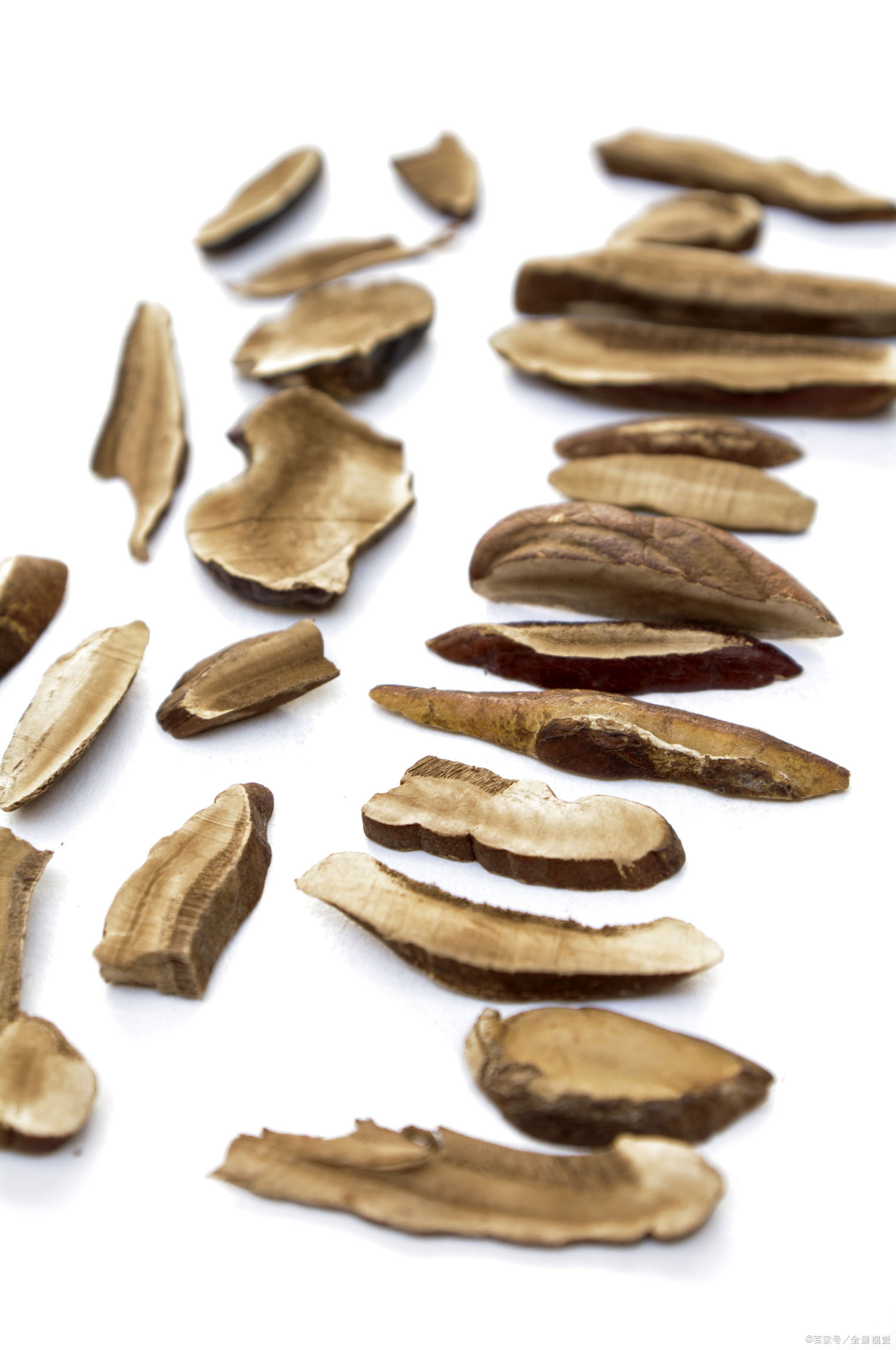 传说中的龙芝就是青芝