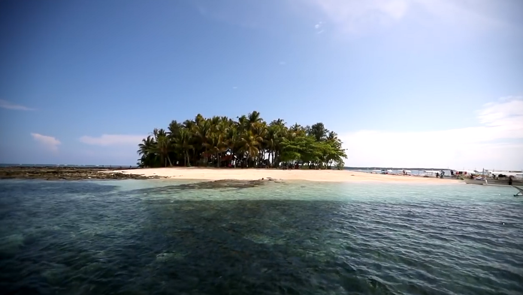 世界12个最好岛屿之一,拥有独特生态环境和野生动物!