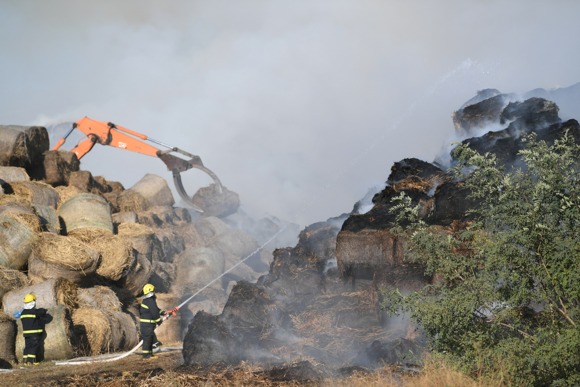 突发丨辽宁锦州北镇市,一座秸秆发电厂燃料堆意外起火