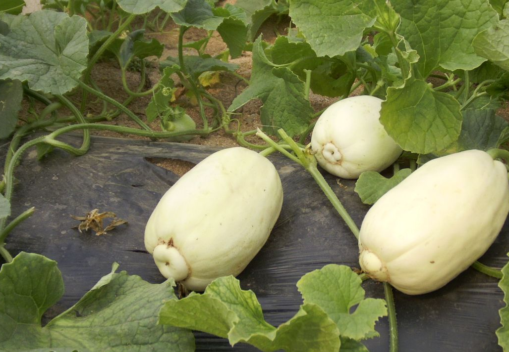 山东银 - 2020年最新商品信息聚合专区 - 百度爱采购