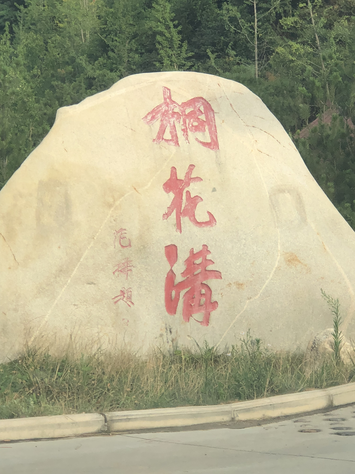 蓝田县桐花沟,向你呈现一片天然绿色美景.