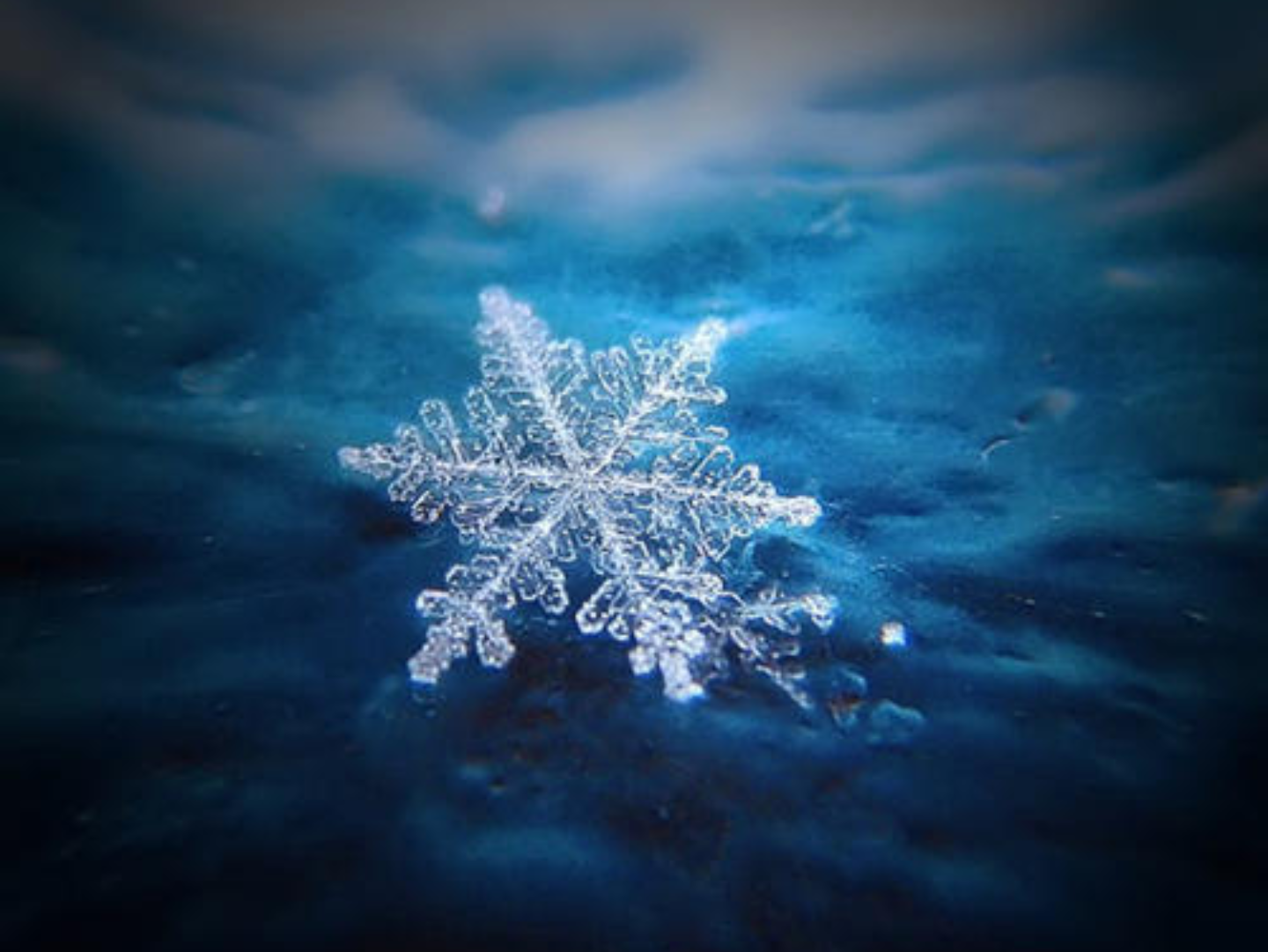 多个冰晶单体组成具有多分枝结构的六角形薄片,冷空气袭来,雪花飘落