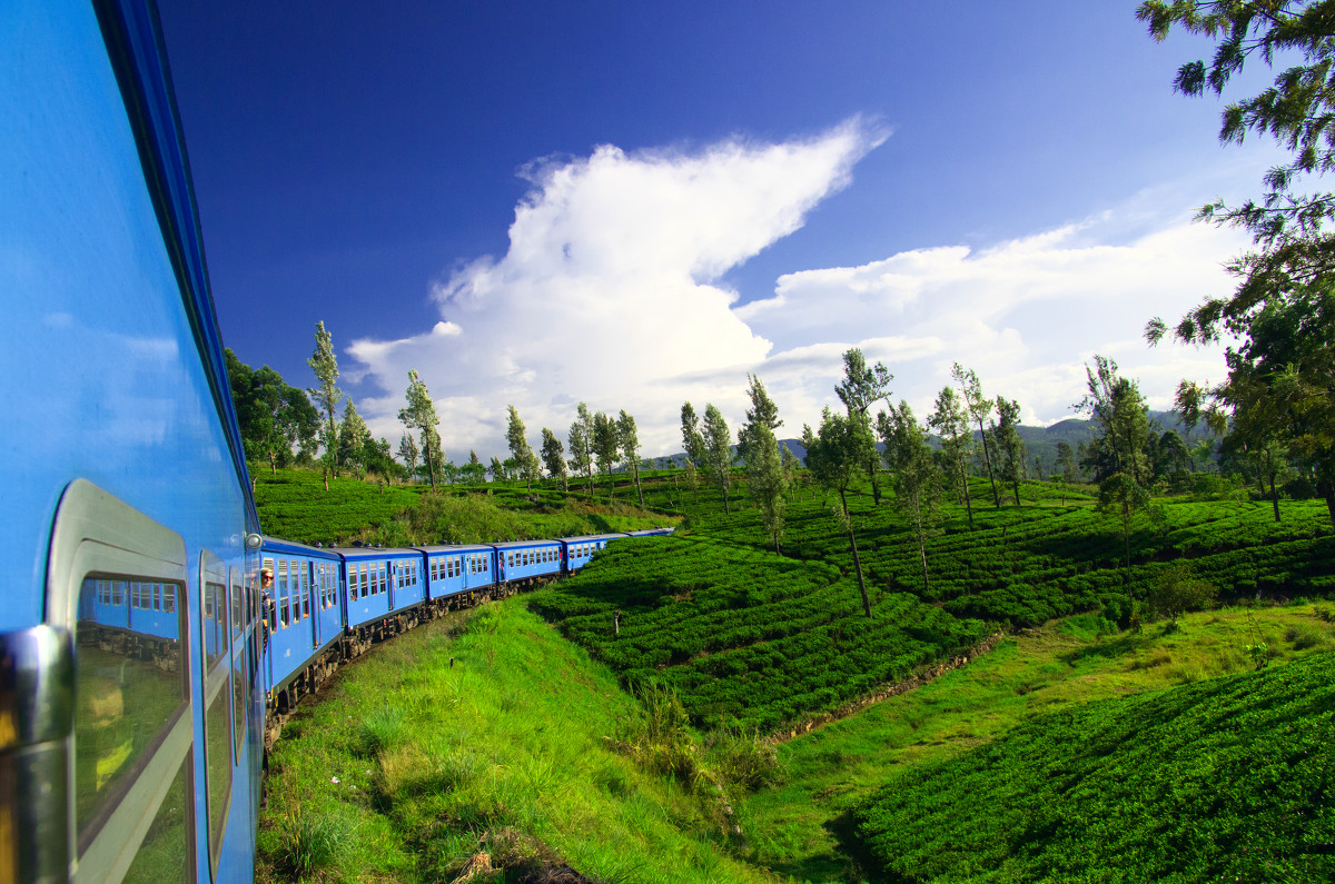 斯里兰卡高山茶园小火车 穿越绿野仙踪的童话世界