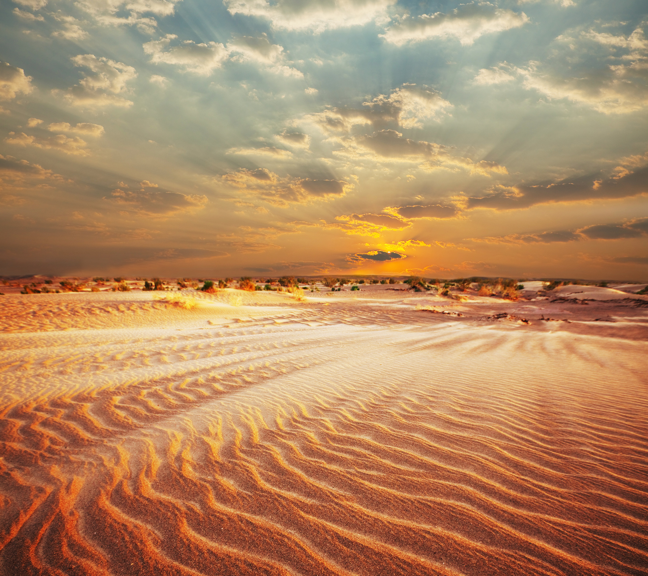 落日沙漠