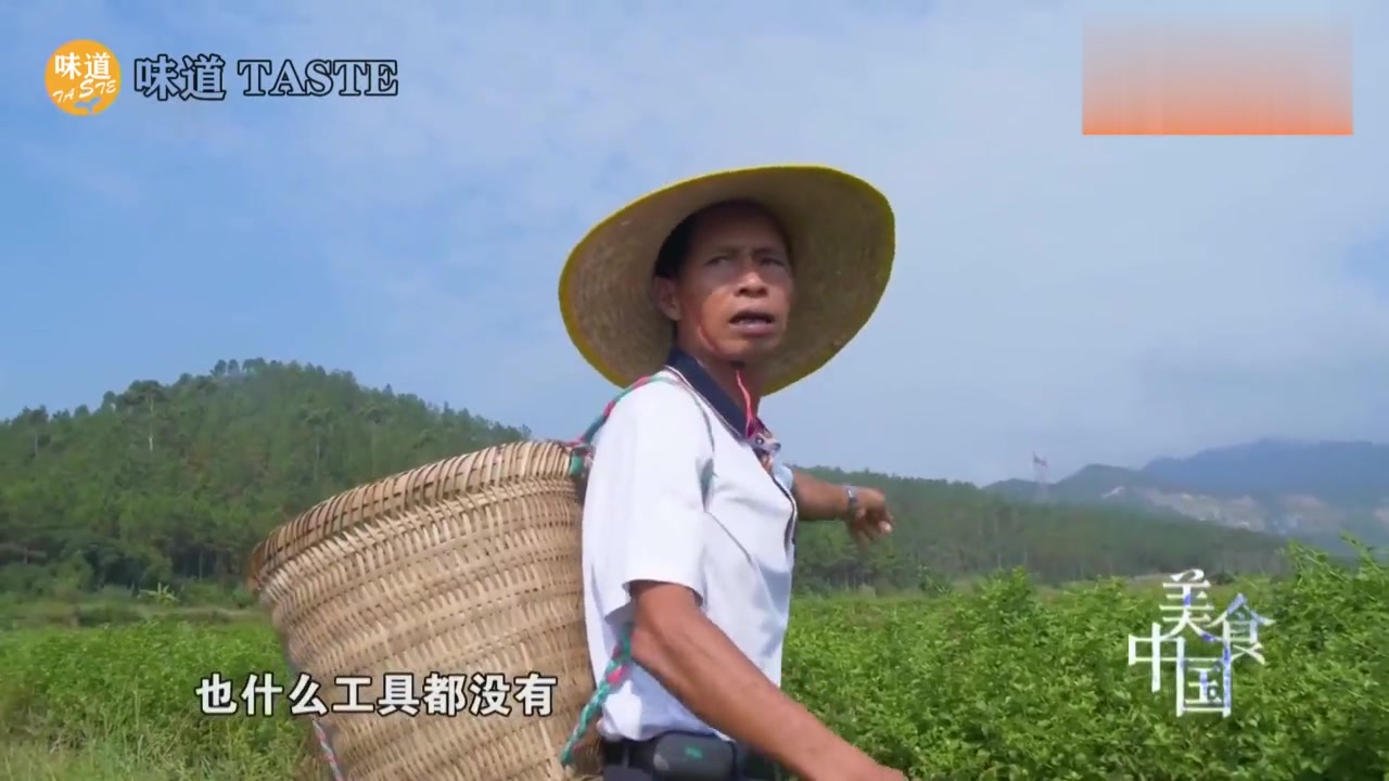 味道广东「簕菜」江门美食 簕菜