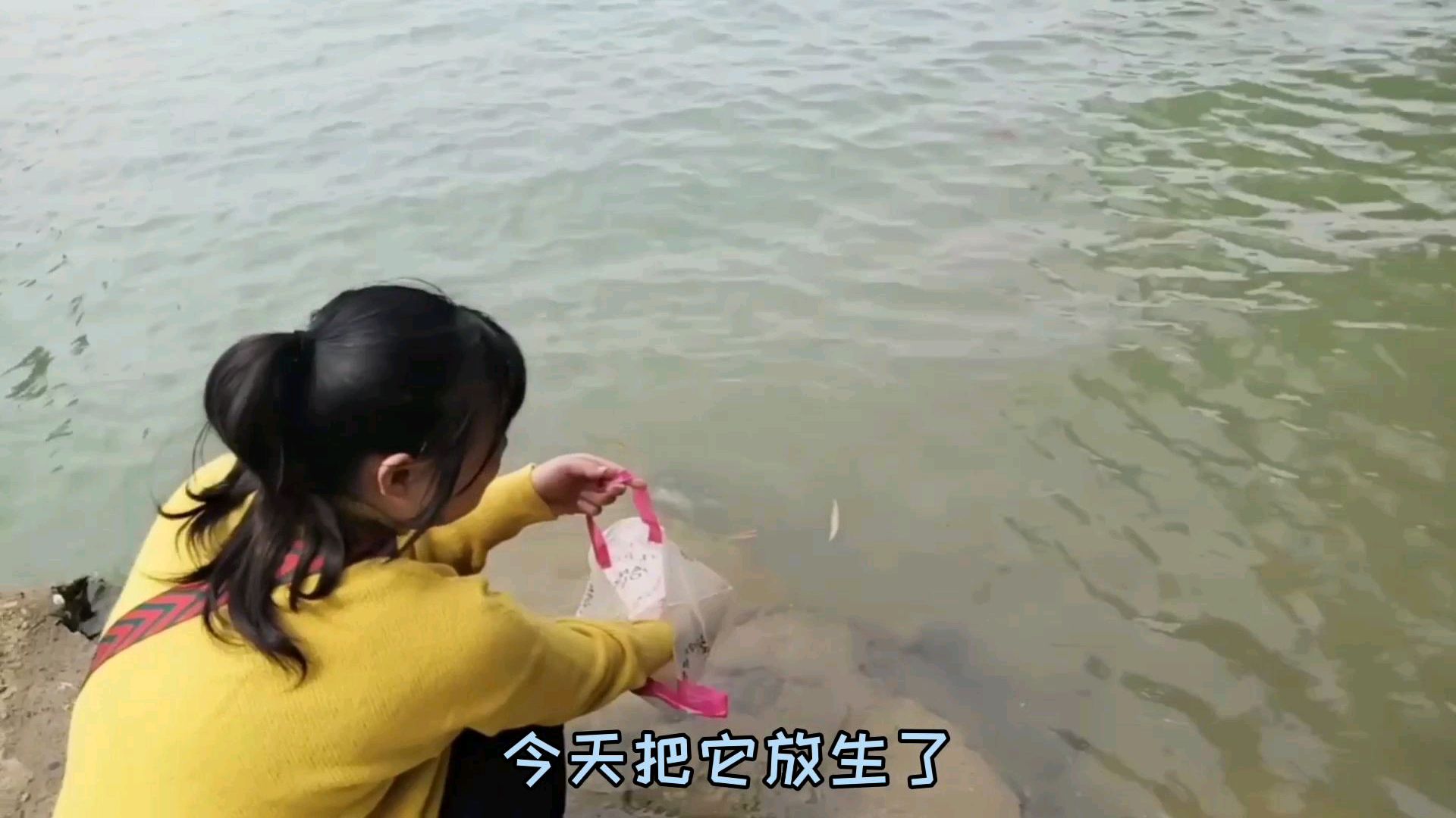 第一次放生鲤鱼,你们那里有放生的习俗吗?