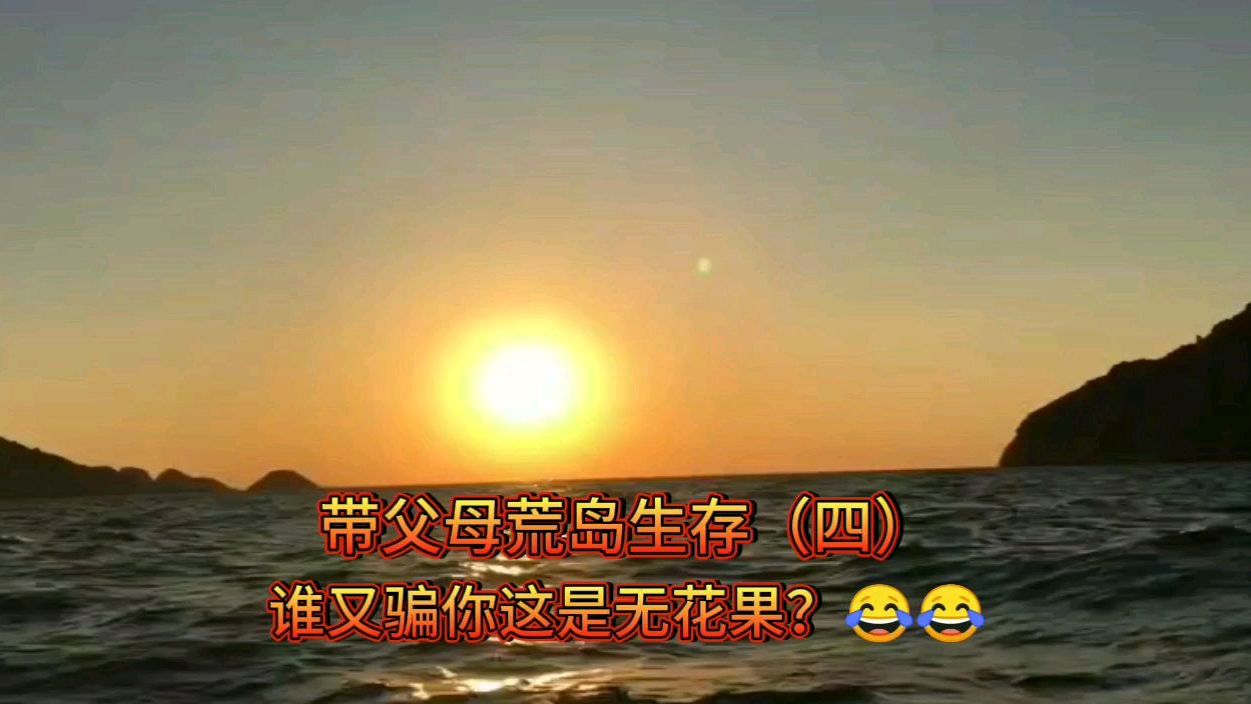 万年大忽悠无花果,没熟的还有毒,你今天吃了没?哈哈哈