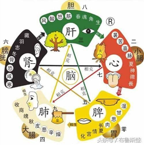 五行与数字,颜色,及身体的对应关系