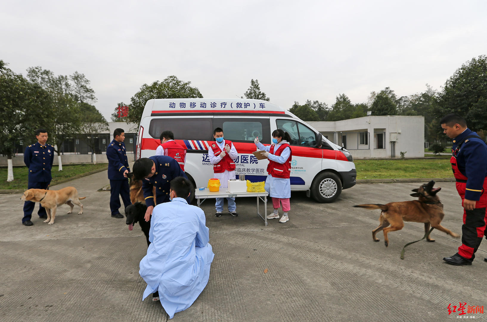 宠物救护车来了 收费500-1000元随车配4名医护人员