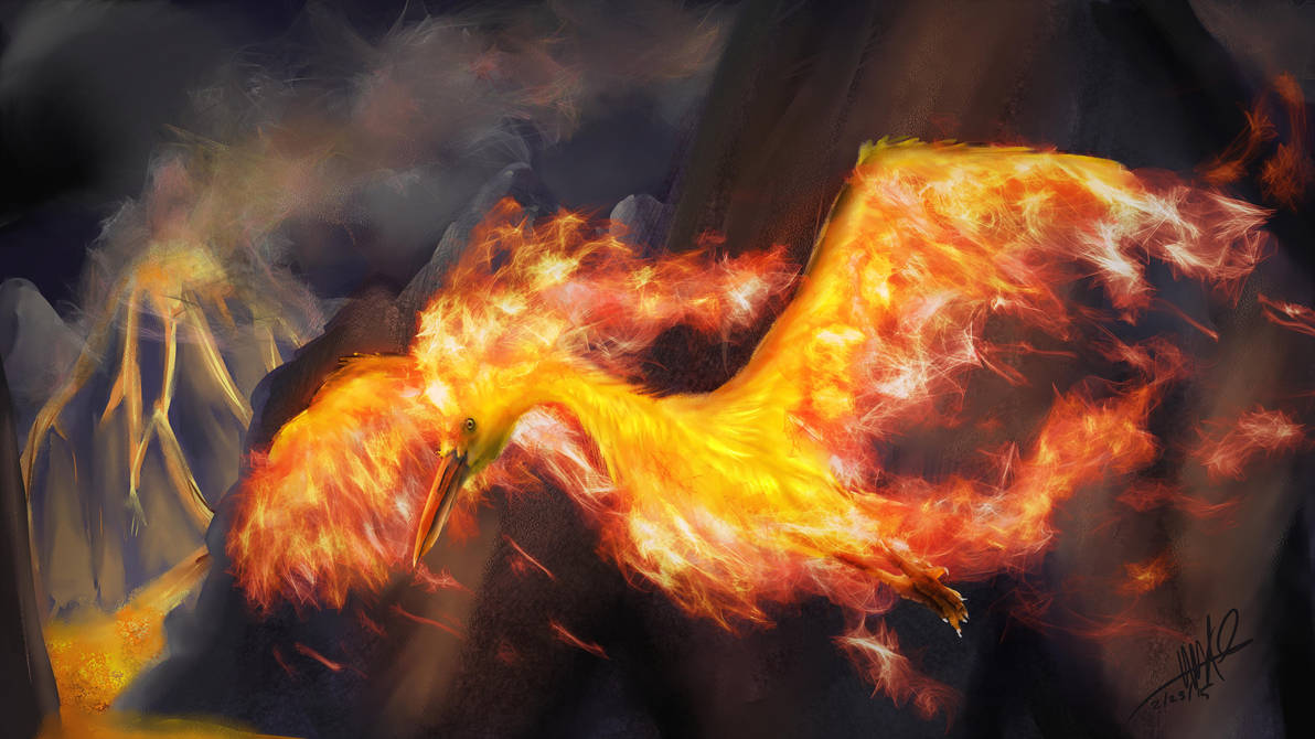迦勒尔火焰鸟图片