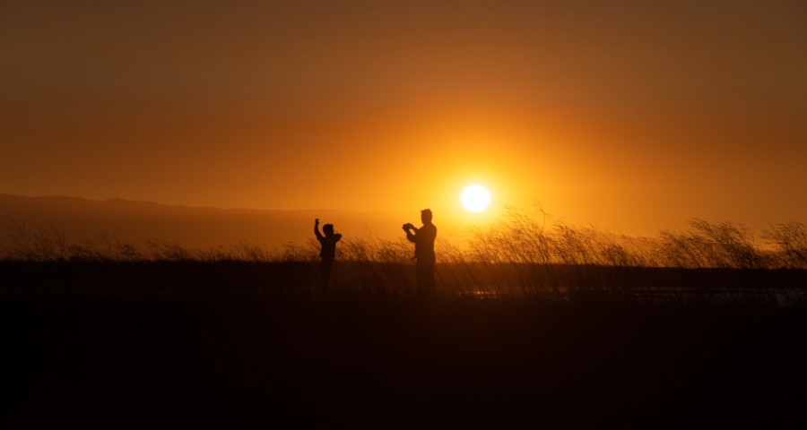 从海尔美的海信到格力老板创维,家电企业多品牌战今年正式打响-家电圈官网