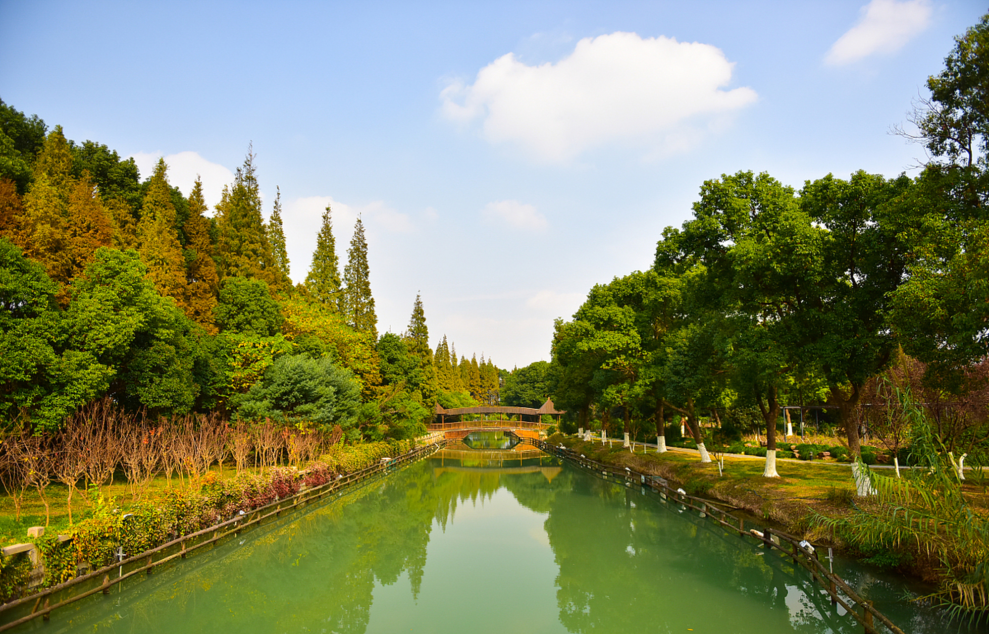 春天里的常熟美景