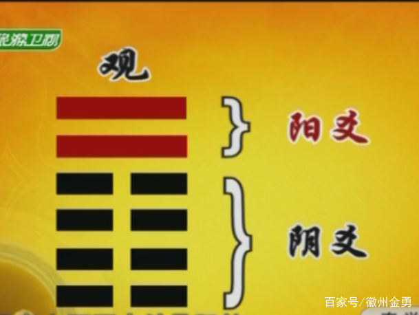 观察者网观棋有语146的简单介绍