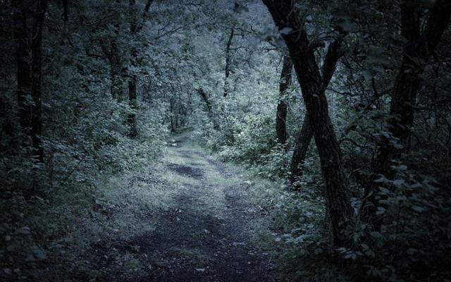 心理学:你最想走哪条小路,测你心理阴暗程度