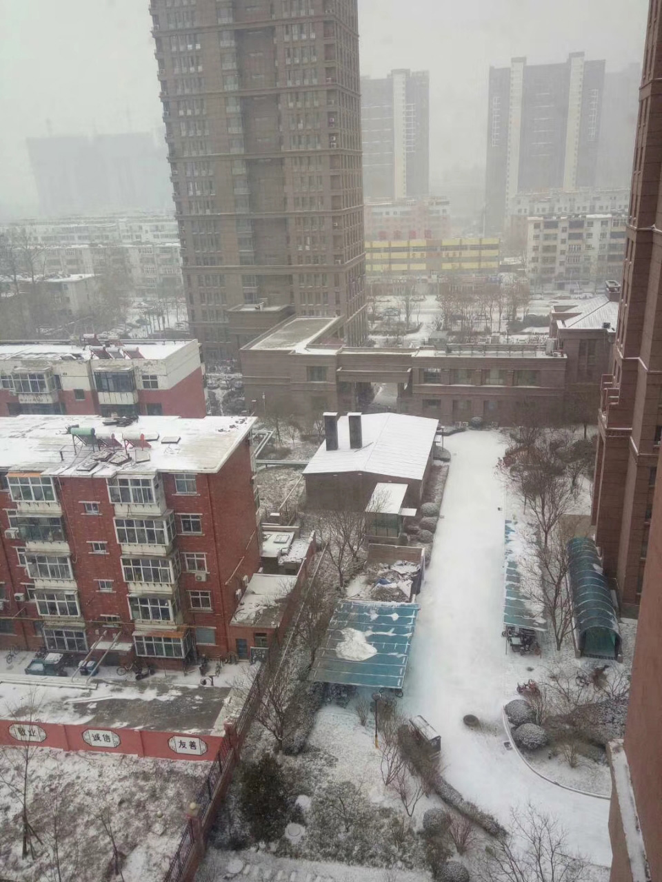 邢台今晨迎来第一场雪 网友:终于等到雪景