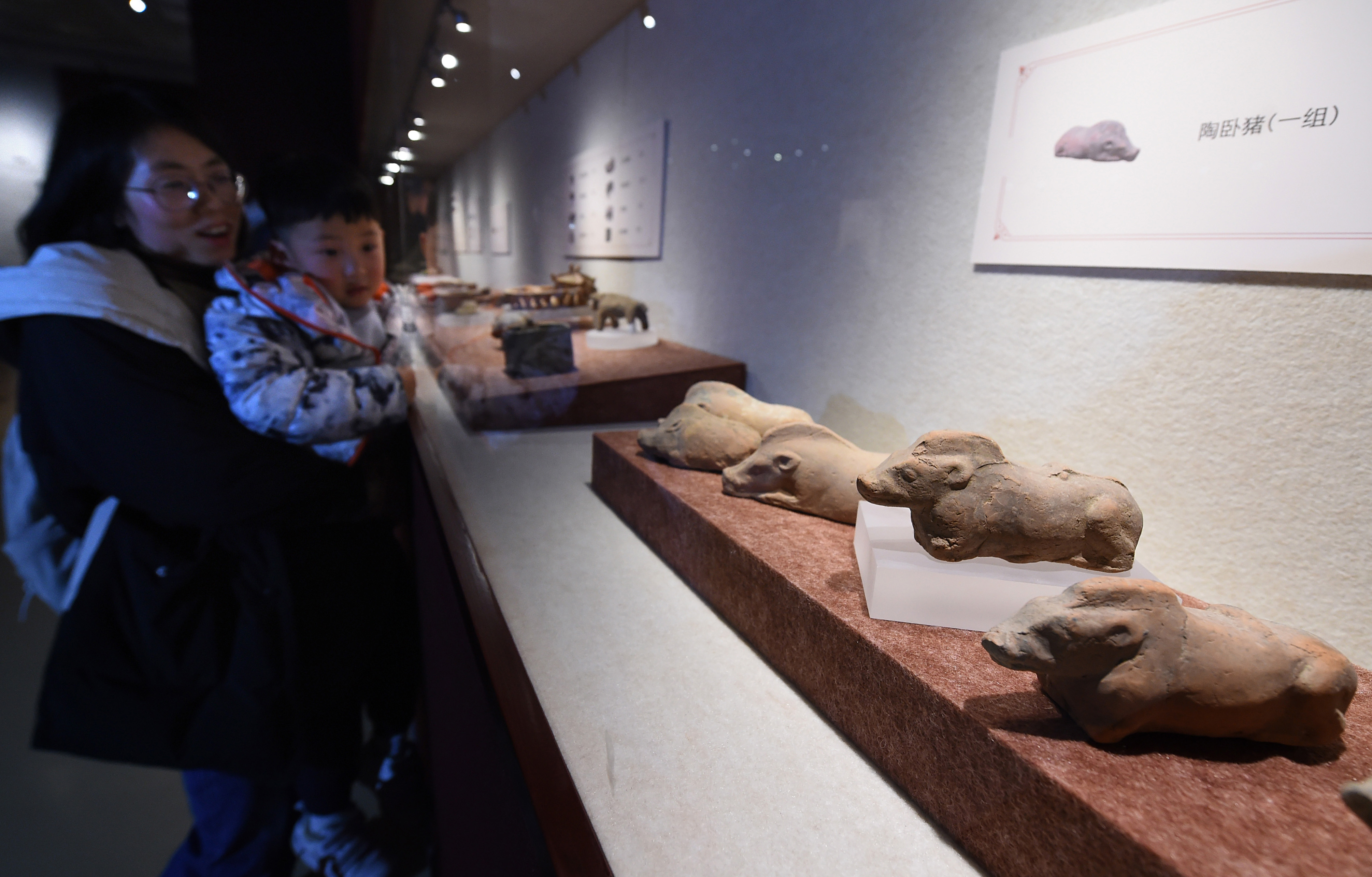 南京博物院举办院藏猪文物展