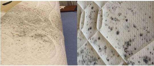 回南天防潮防病指南