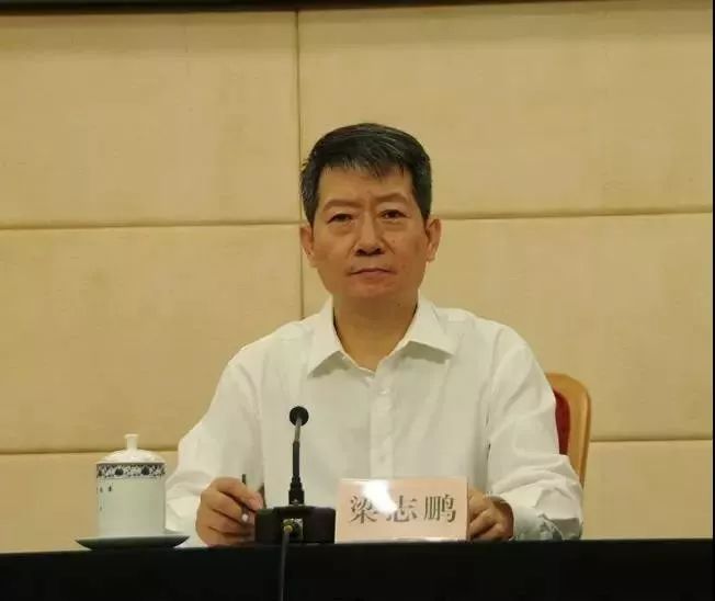 努尔.白克力落马近1年,国家能源局人事"换血"全复盘!