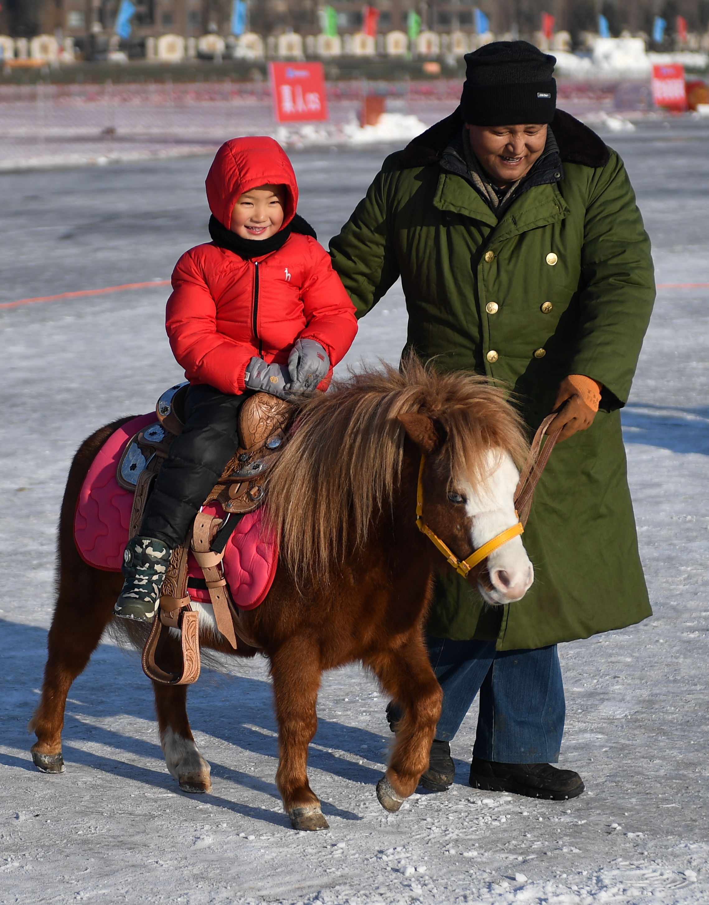 (社会)(3)长春:"呆萌"矮马惹人爱