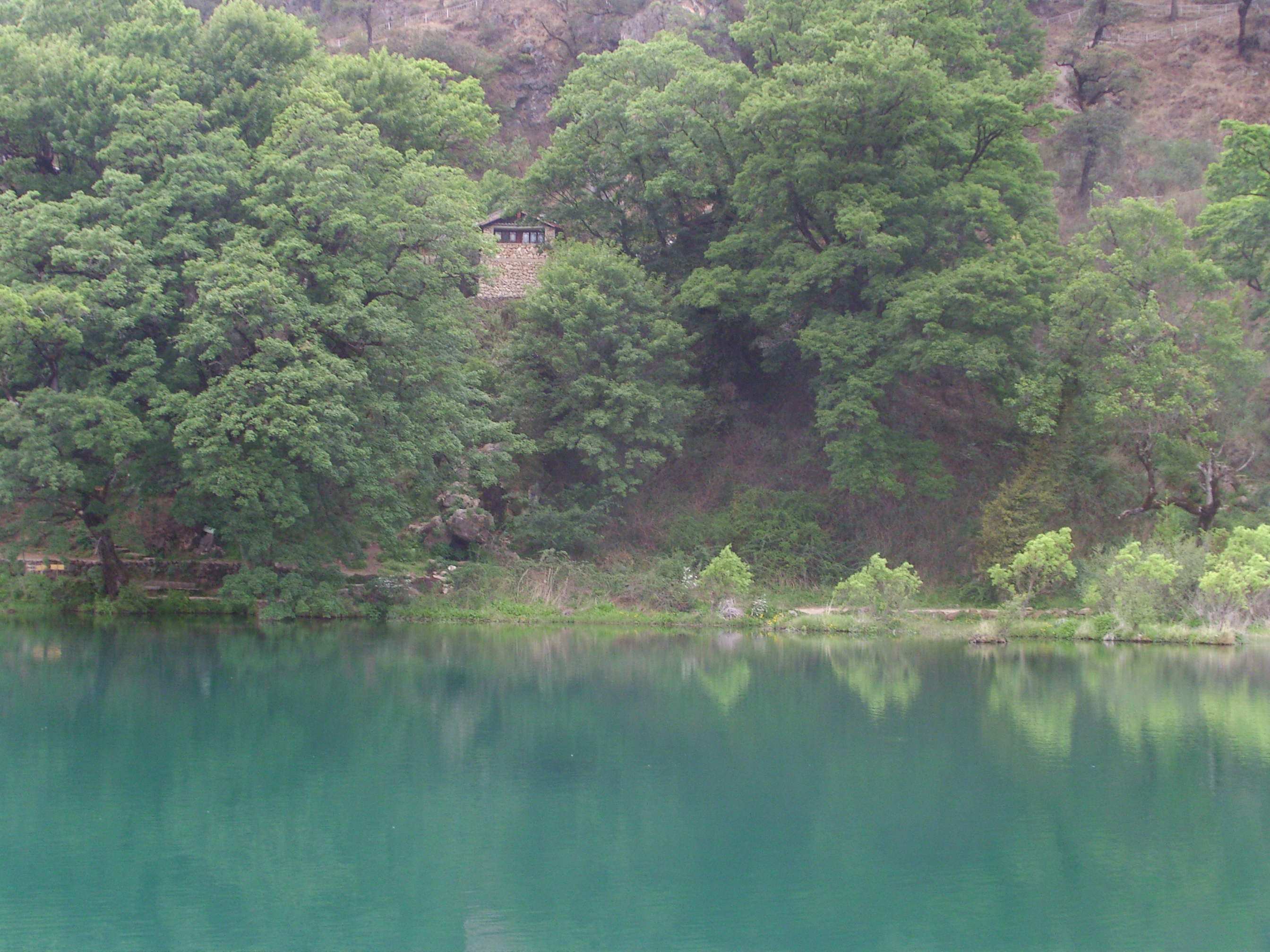 旅途風景圖集:鄉間野趣,生活真諦