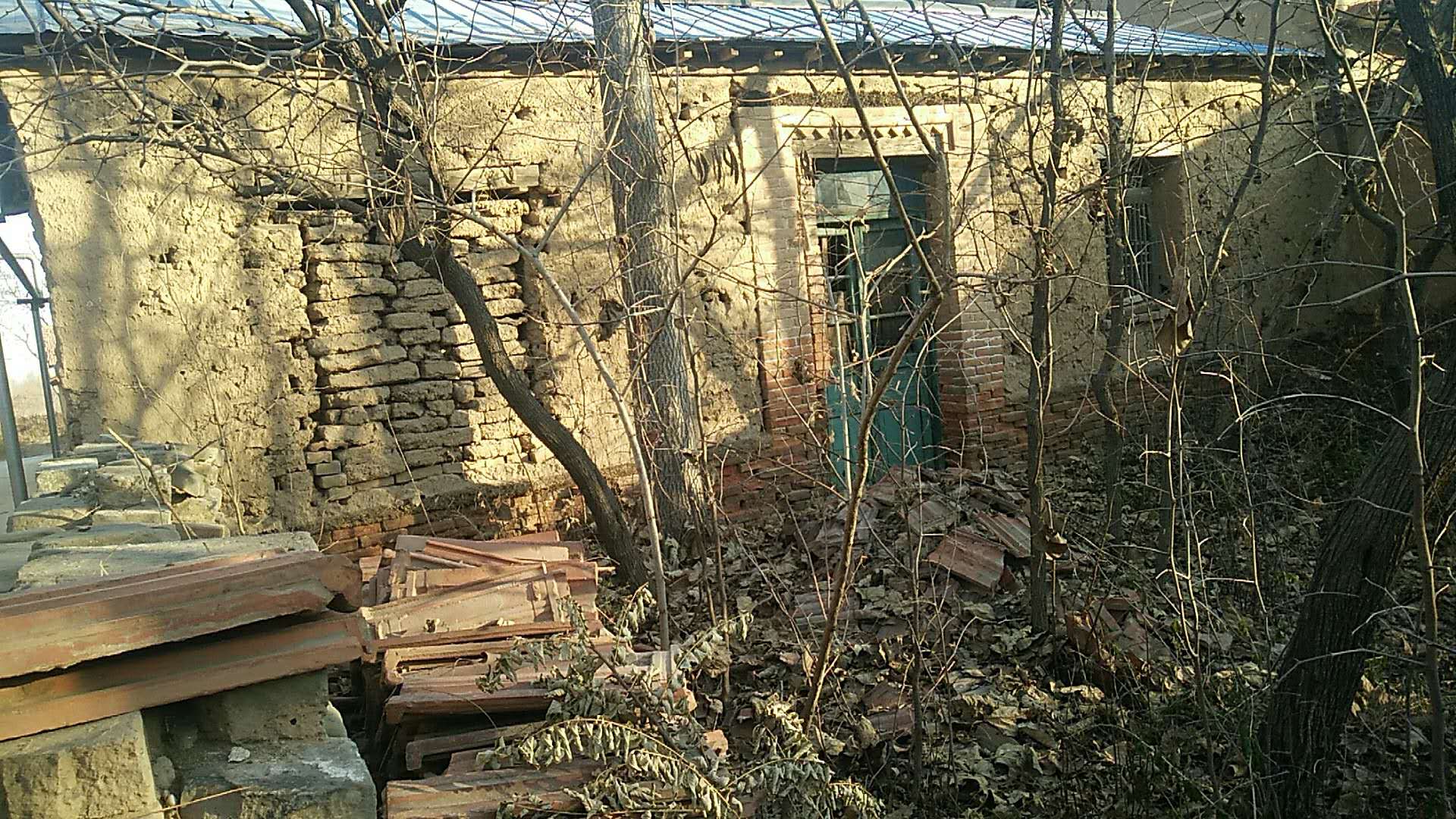 村里人越来越少,房子破旧不堪,树木枯萎凋零