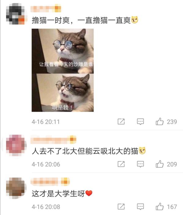 暖心!学霸打造"北大流浪猫图鉴 火到教学网一度崩溃