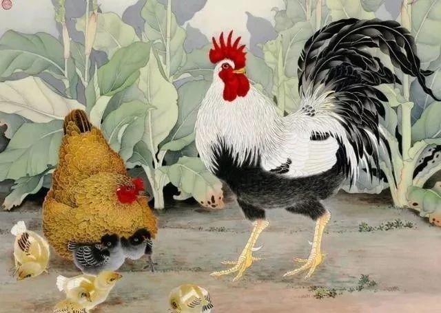 富贵鸡81年出生的:横财大运入宅,出门遇财神,大财小财收入囊中