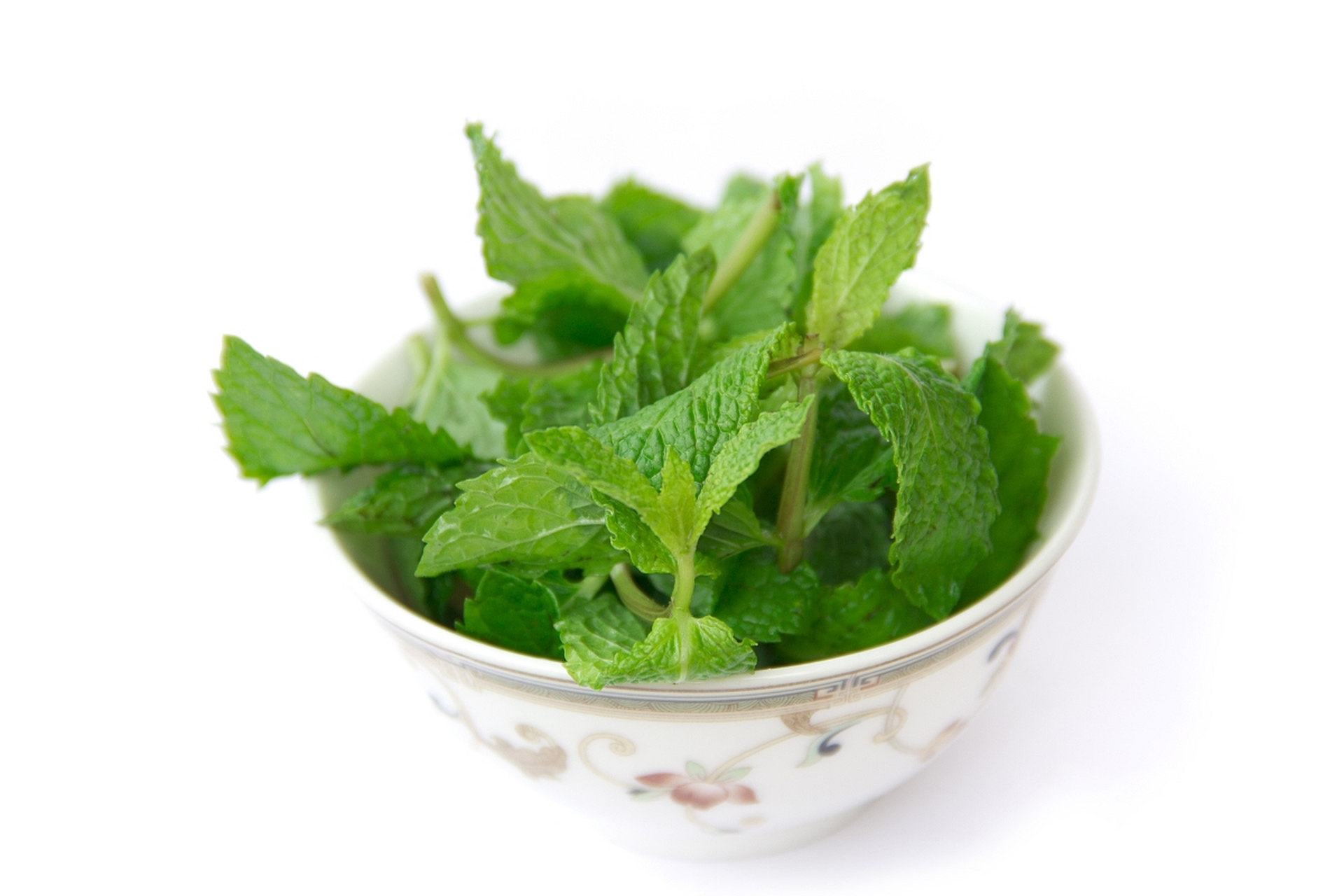 摘要:鱼香菜和薄荷作为香草调味料,具有鲜明的特点和历史背景.