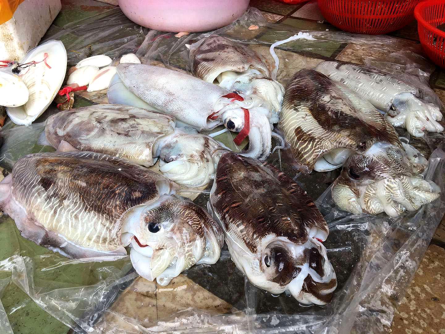 春节假期最后一天留给家人,菜市场这种鱼150元一斤,真的吃不起