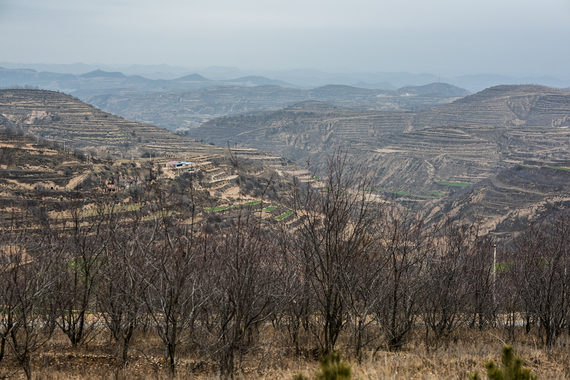 山区农村初冬的景象庆阳市镇原县马渠镇