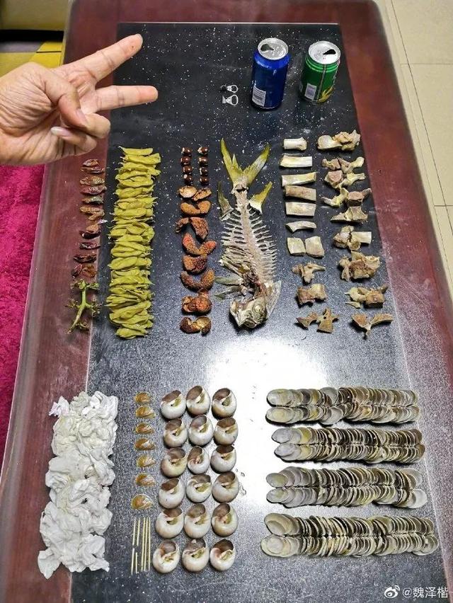 “你是什么垃圾”上海朋友垃圾分类真的太拼了！外地游客瑟瑟发抖