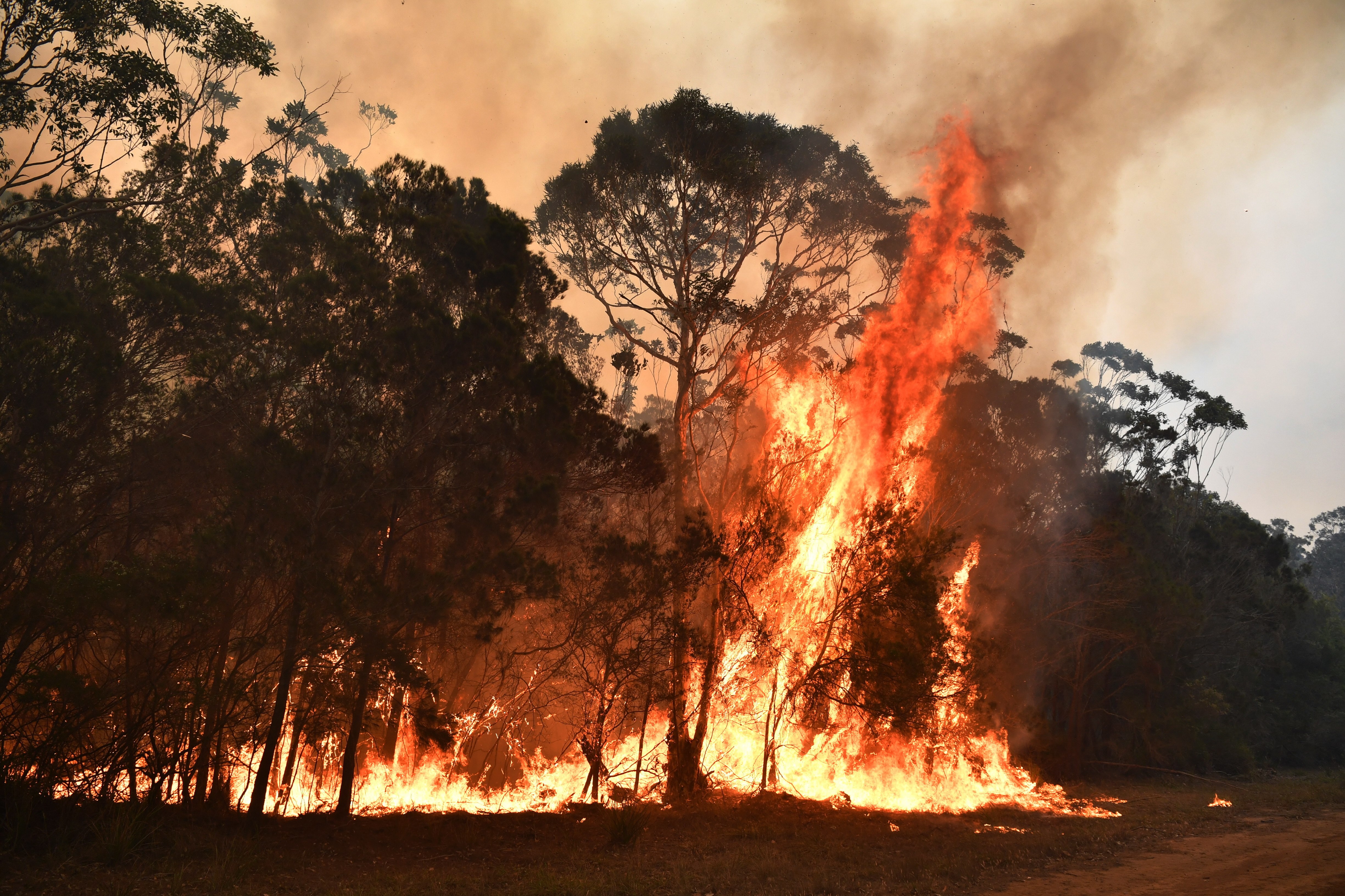 澳大利亚新南威尔士州林火持续(2)
