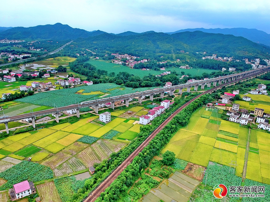 会昌:夏日乡村美景如画