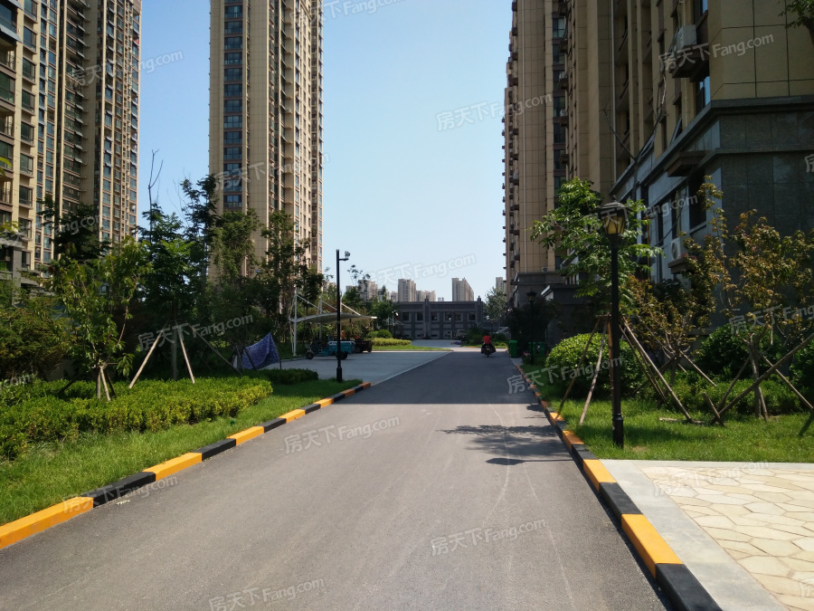 卖价贵不贵看真实网友点评,开发区香橙不买还得继续涨