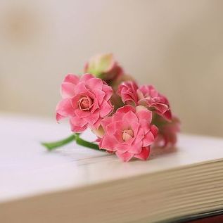 有肉有剧情的三本网游爽文 各路美女纠缠 他该如何取舍