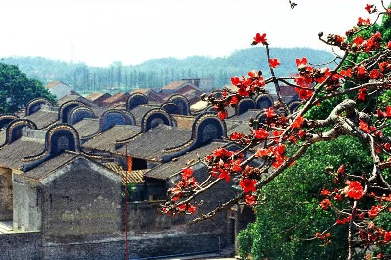 走进广东第一村!岭南最大镬耳屋群,向你讲述历史记忆