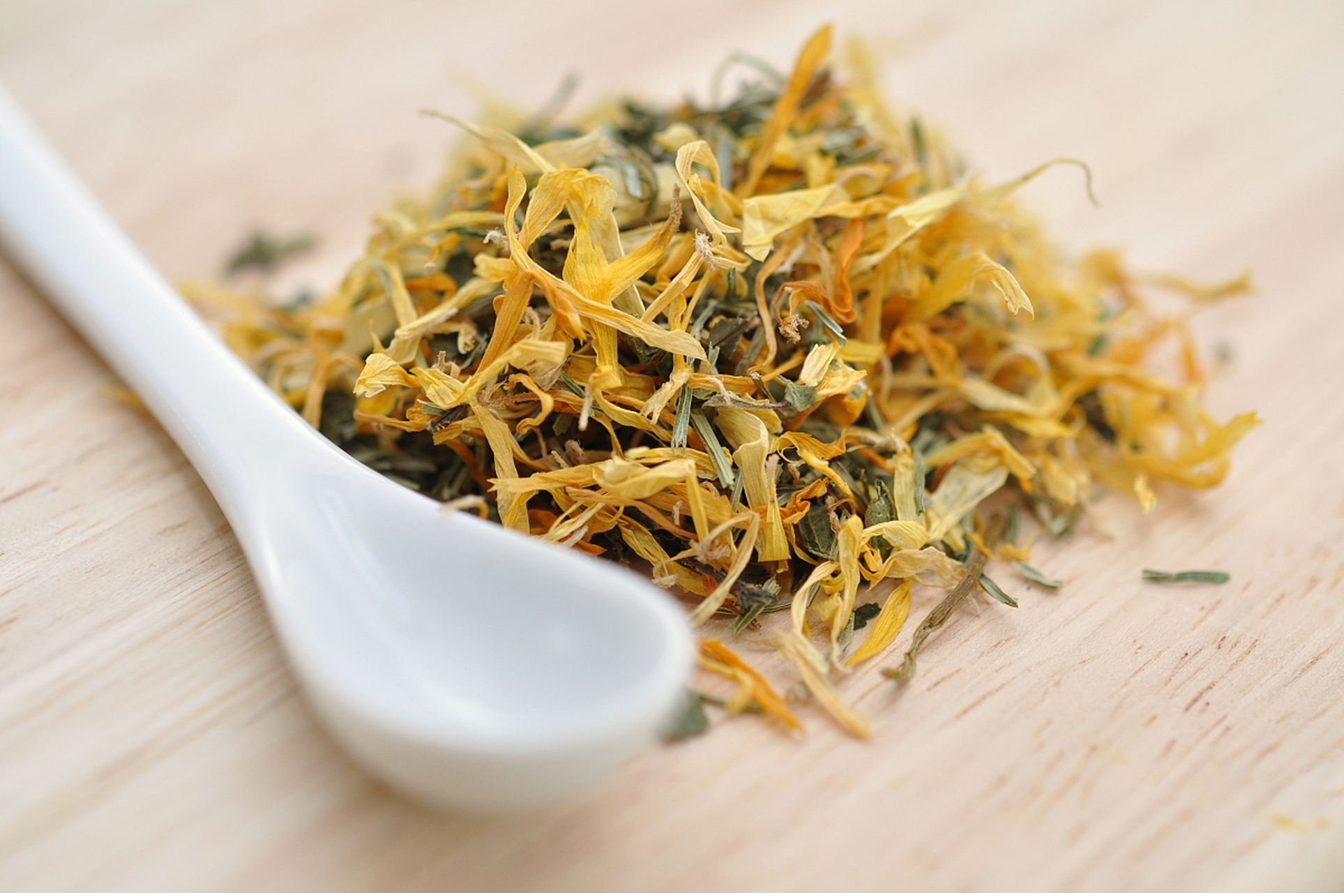 线叶金雀花,这种生长在南非西开普敦cedarberg等地区的