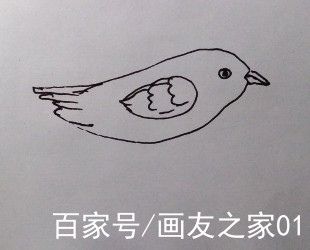 鳥的畫法教程:如何畫一隻鳥,鳥怎麼畫?兒童簡筆畫