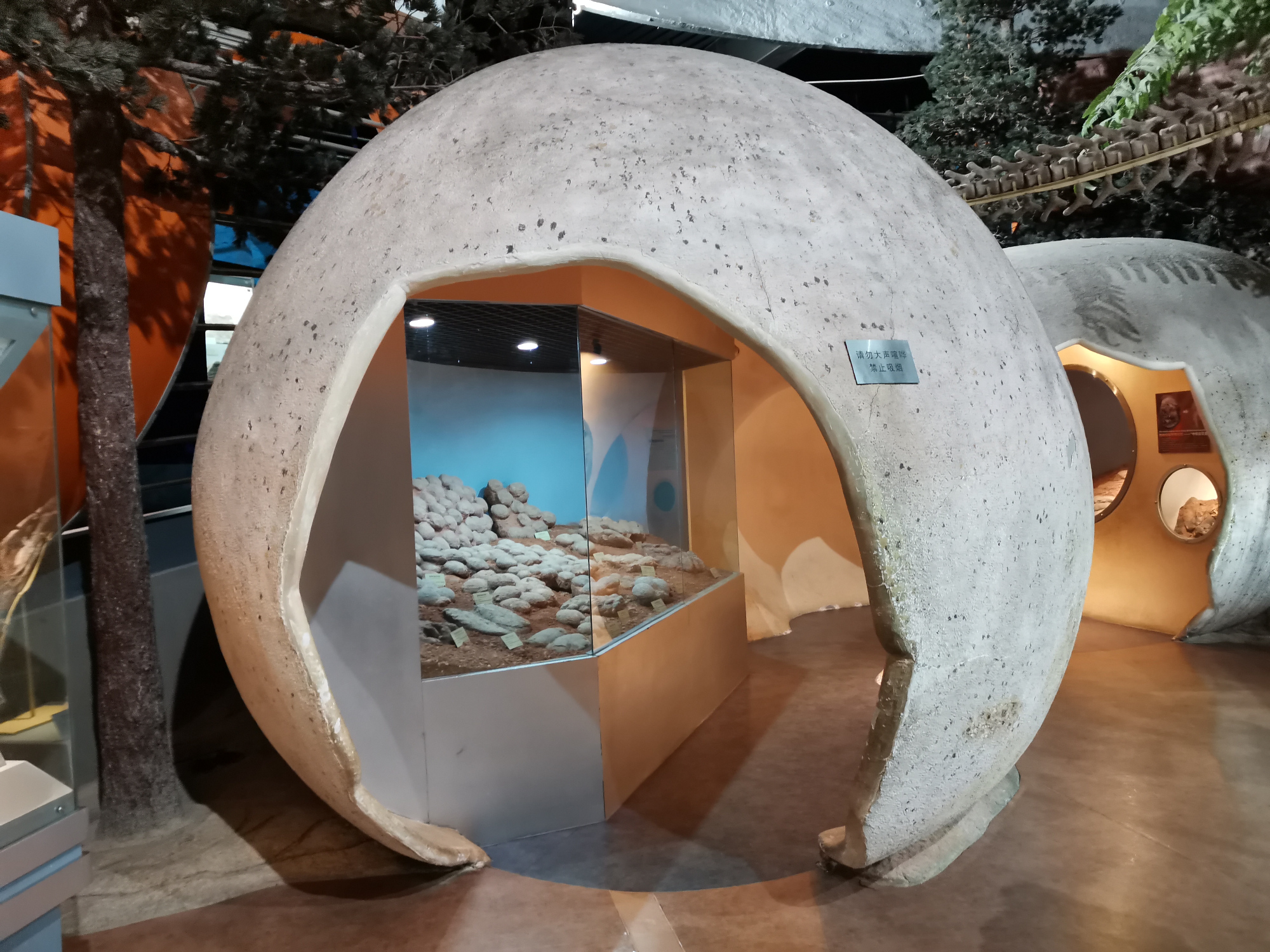 郑州最适合孩子的博物馆:如同恐龙世界,地铁直达还没门票