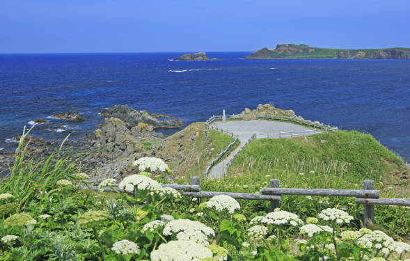 科特拉岛——位于阿拉伯海与亚丁湾的交汇处