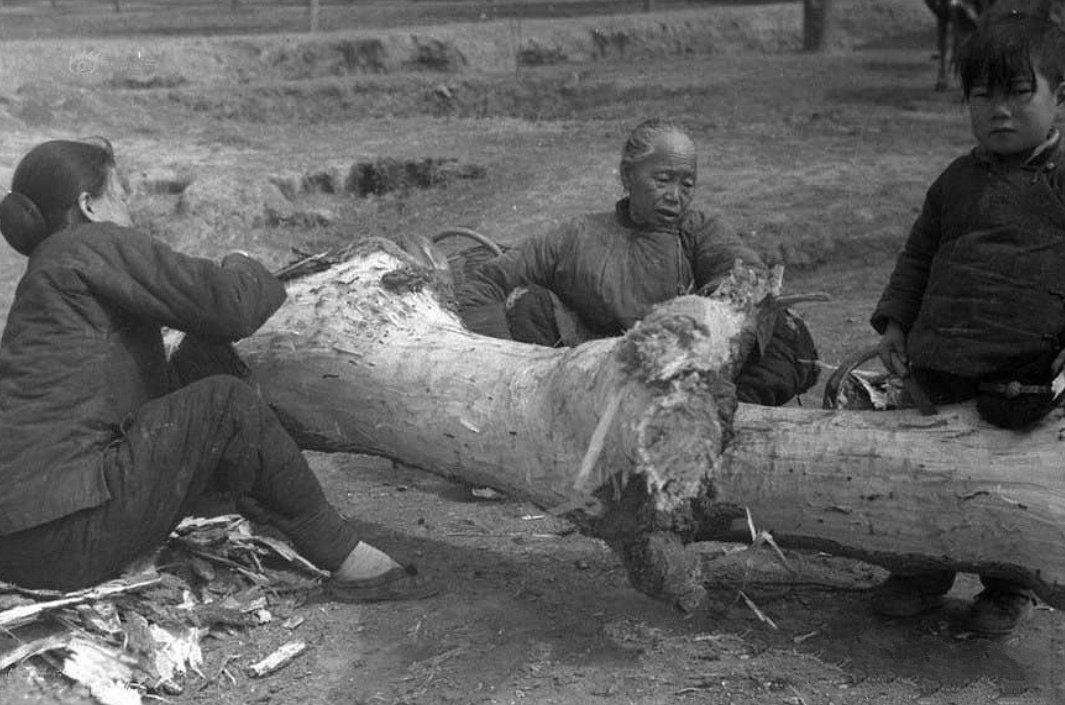 老照片:1942—1943,真实记录河南大饥荒的20张珍贵老