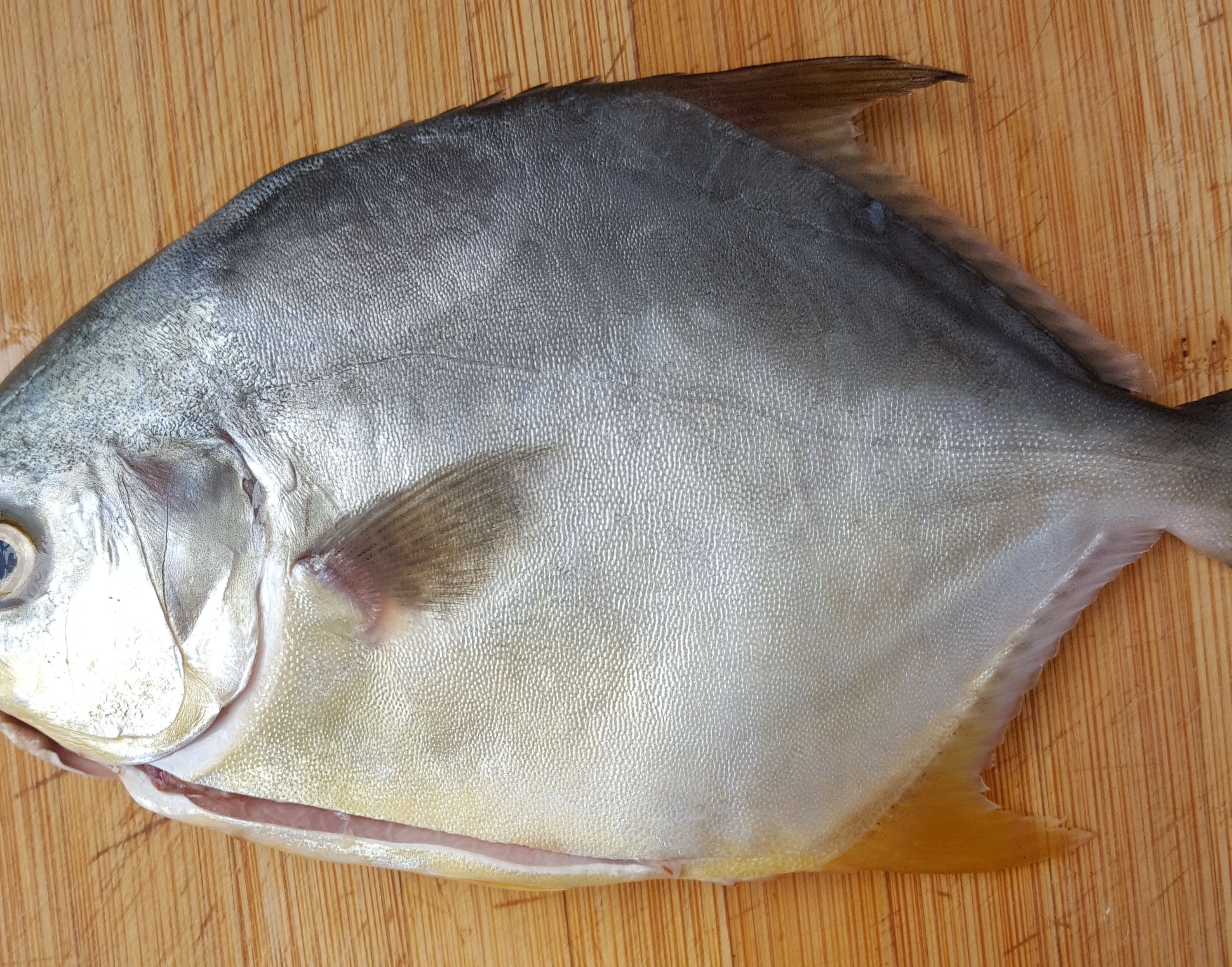 金鲳鱼加它蒸,味道真是香!