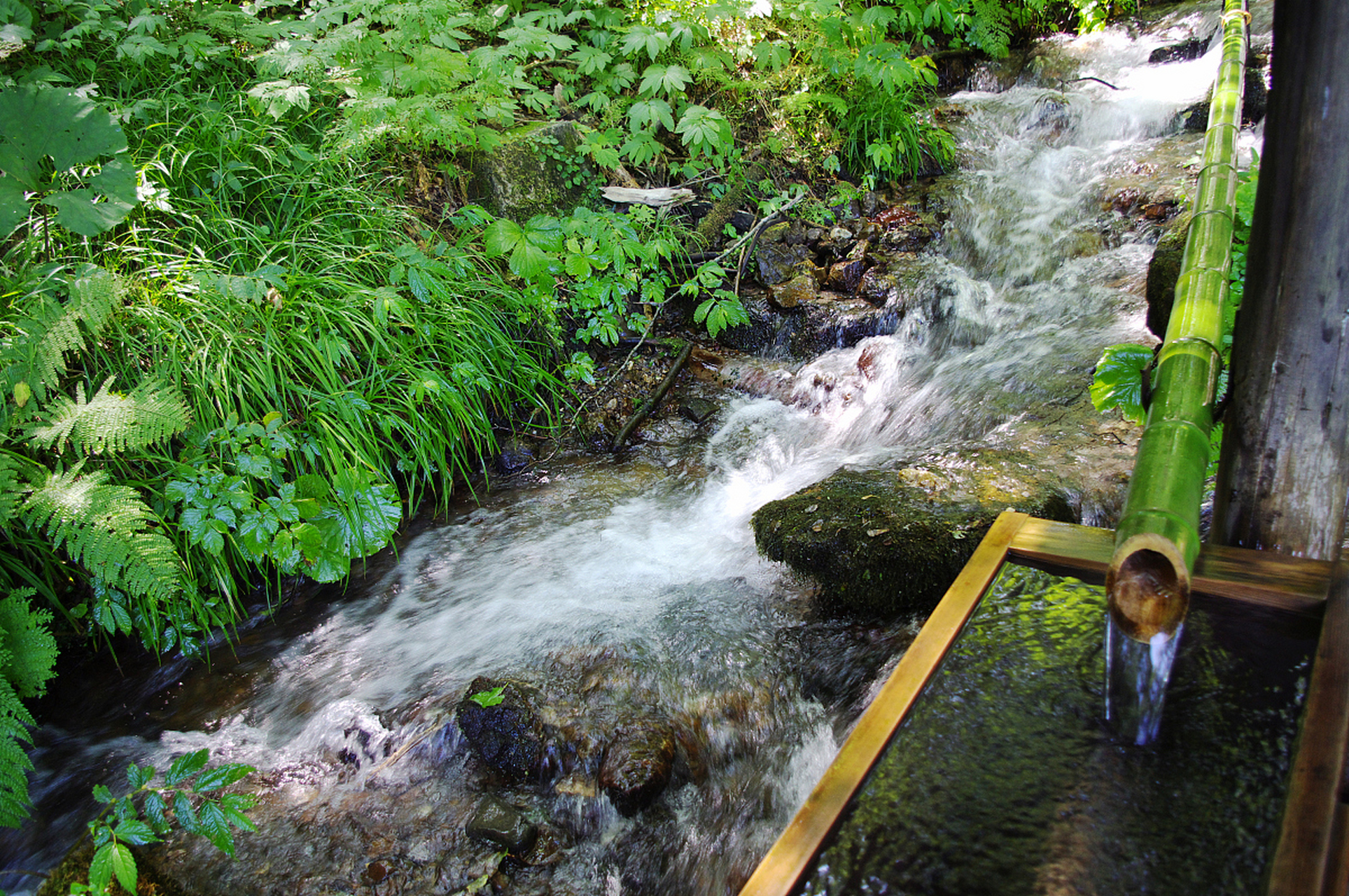 城市大玩家# 北京白龙潭皇家森林公园, 在北京密云县东北30公里处的